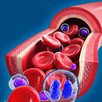 Anemia treatment in ariyakudi