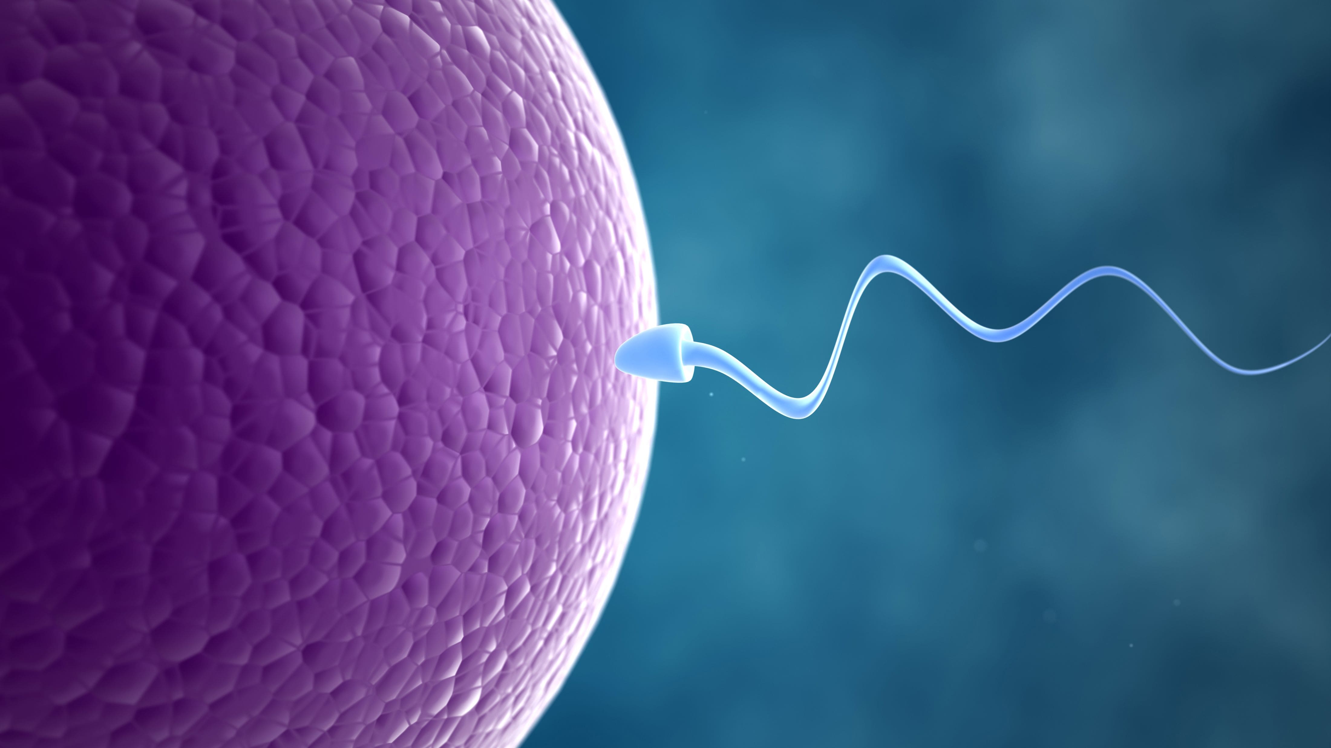 Infertility treatment in ariyakudi